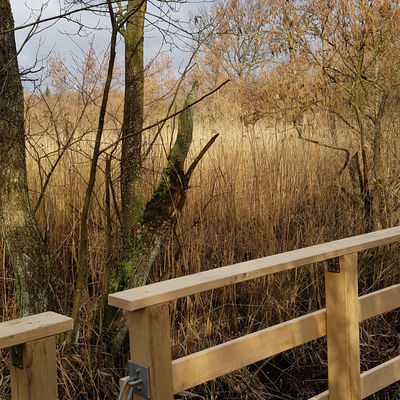 Detailaufnahme der Geländer-Verbindung zweier Schwimmkörper. Da die Brücke im Moor liegt und auf unterschiedliche Wasserstände reagieren muss, ist zwischen den Holz-Geländern zweier Schwimmkörper eine Kette gespannt. Im Hintergrund sieht man die Moorlandschaft mit Bäumen, Büschen und Gräsern.
